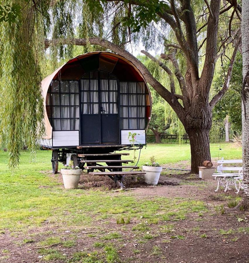 Don Aniceto Lodges & Glamping Lujan  Luaran gambar